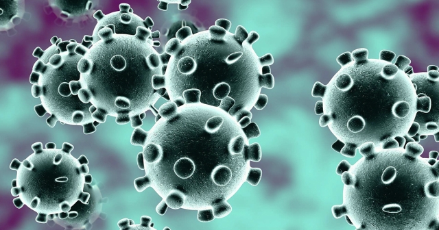 Coronavirus