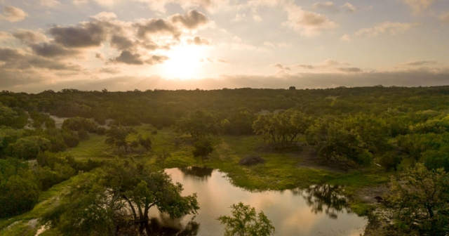 Texas Nature